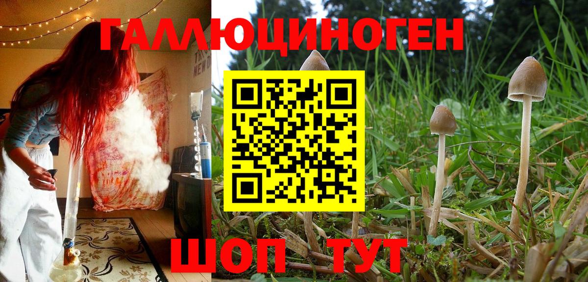 Кисловодск  Галлюциногенные грибы GOLDEN TEACHER  Вход с VPN  Галлюциногенные грибы прущие грибы 